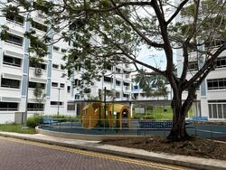 pasir-ris-street-21 photo thumbnail #13